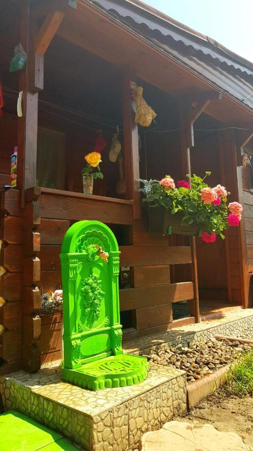 Casa Ursului Hotel Bujoreni Kültér fotó