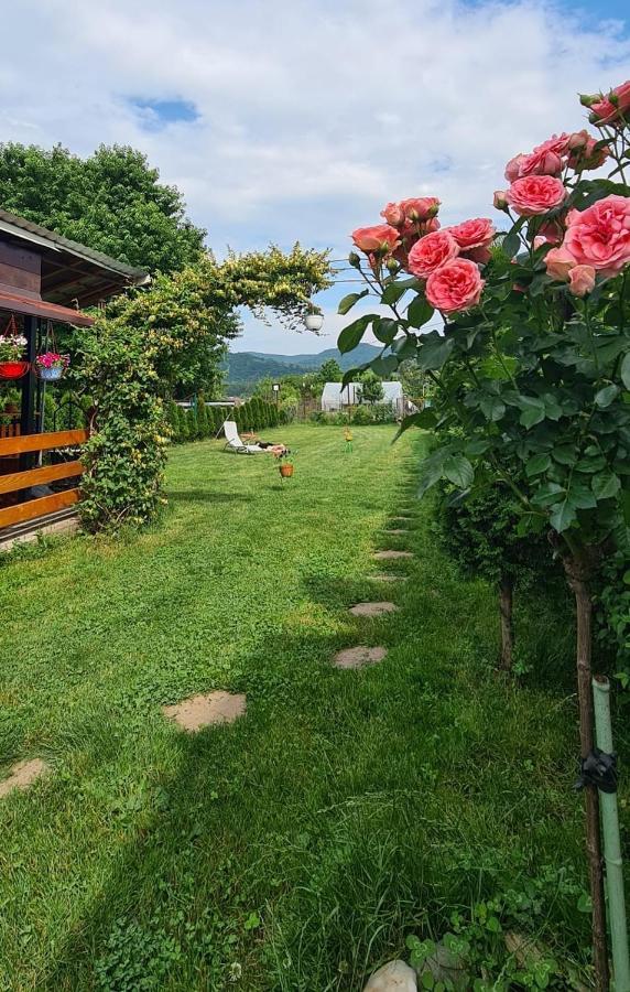 Casa Ursului Hotel Bujoreni Kültér fotó