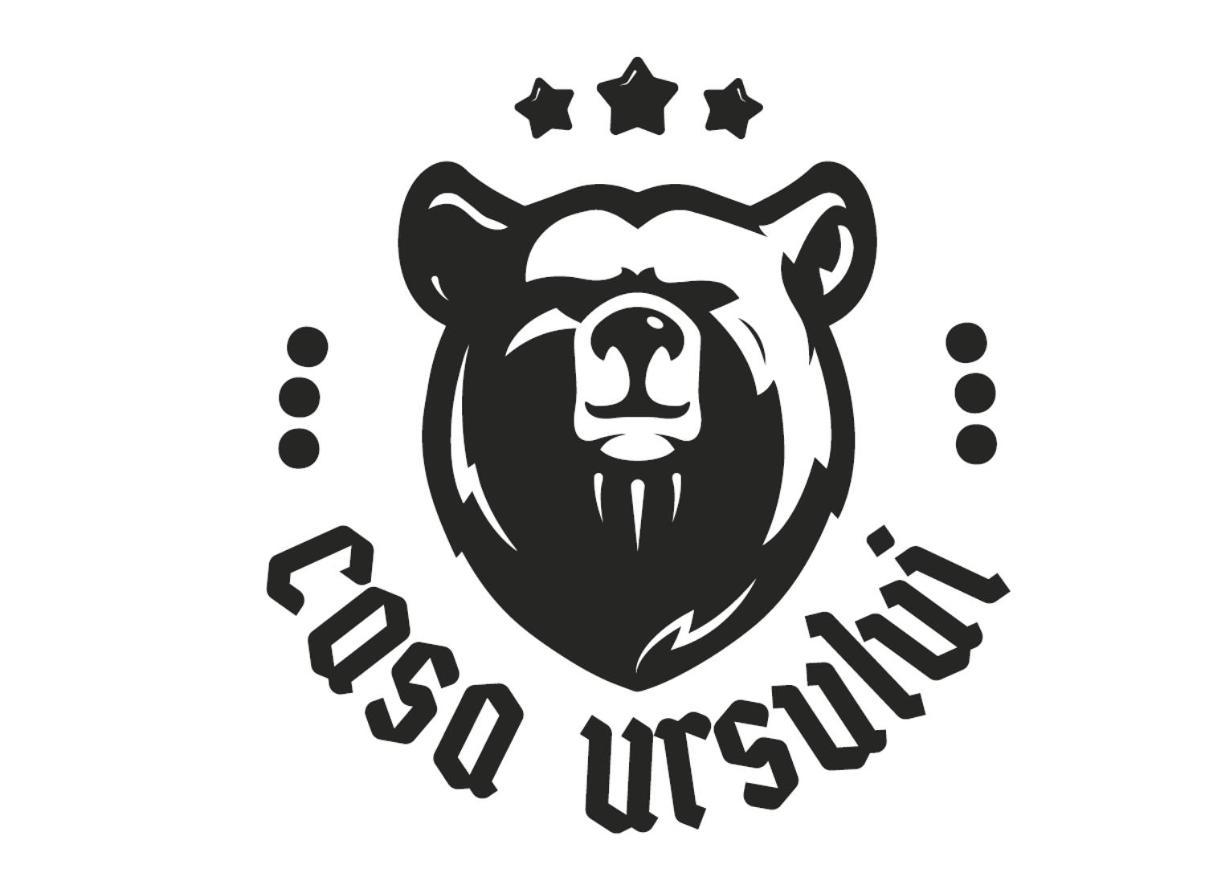 Casa Ursului Hotel Bujoreni Kültér fotó